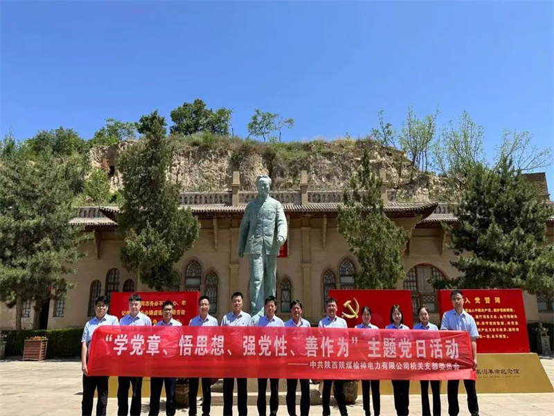榆神電力公司開展“學(xué)黨章、悟思想、強(qiáng)黨性、善作為”主題黨日活動(dòng).jpg