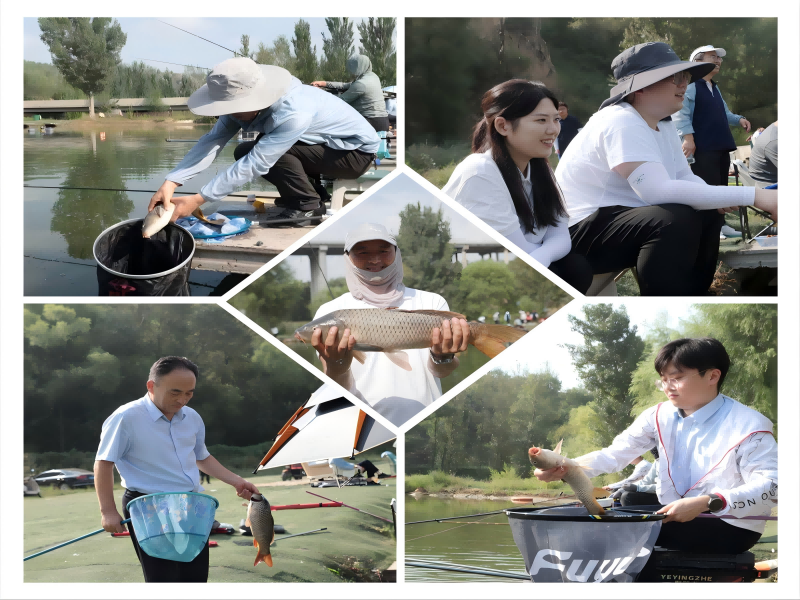 191724030072119668.png WPS拼圖0(1).png